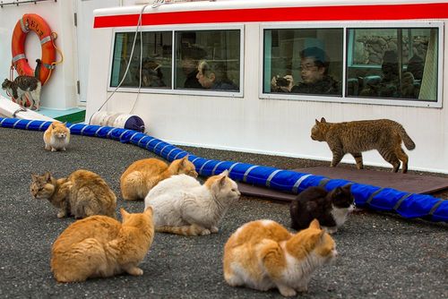 Hội thảo “Nâng cao hiệu quả năng lượng và cải tiến 007Win Nhà Cái Uy tín hàng đầu thế giới làm việc trên tàu đánh cá ứng dụng thiết bị LED công nghệ mới, COB” diễn ra tại Hà Nội